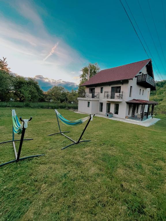 Transylvania Mountain View CDI photo 3