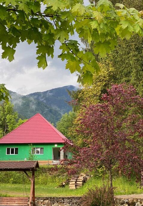 The Green House - Apuseni Mountains photo 3