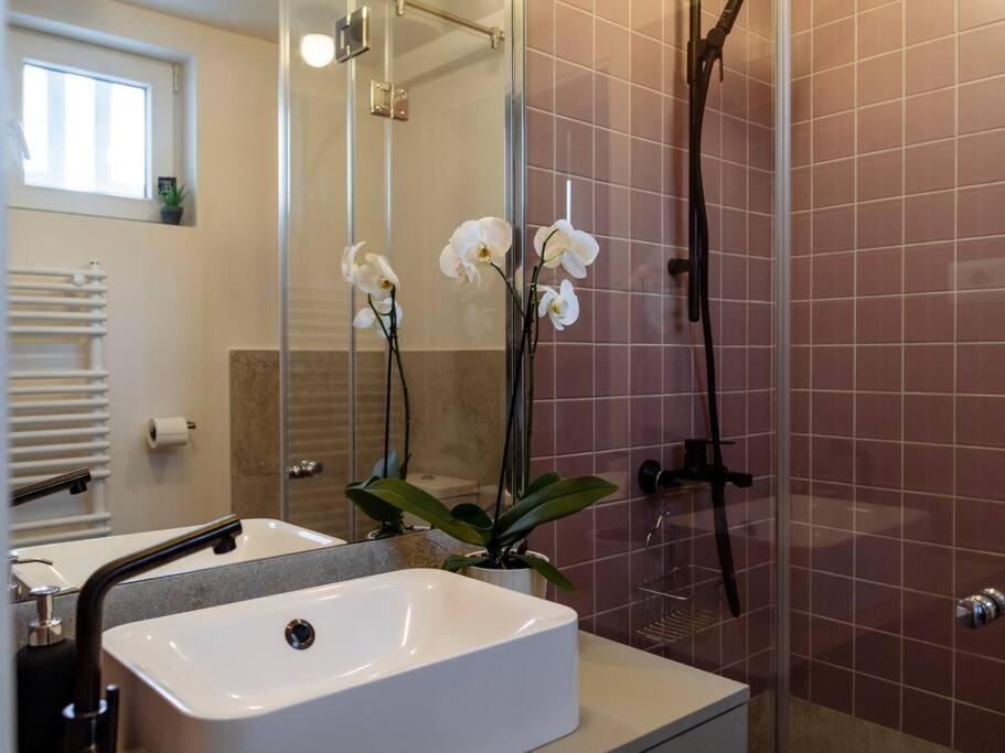 Sunny Modern Studio - Cismigiu Park & Old Town photo 3
