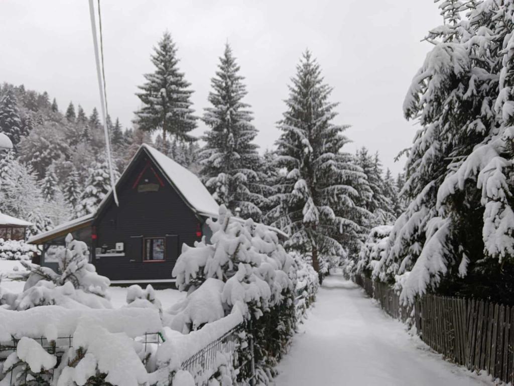 Schwarz Kabin photo 2