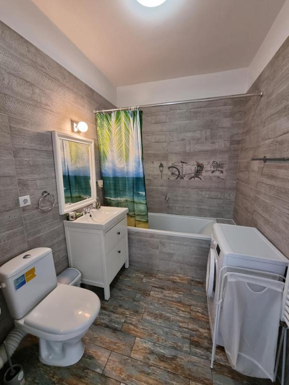Traian Apartment - Cluj photo 3
