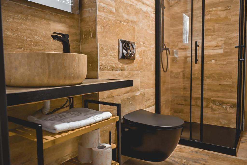 Stone Apartment with sauna Sinaia photo 3