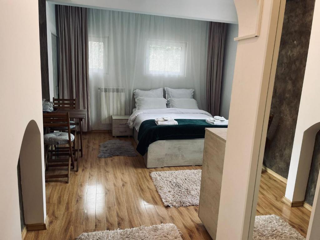 Studio Poema Ultracentral Sinaia photo 2