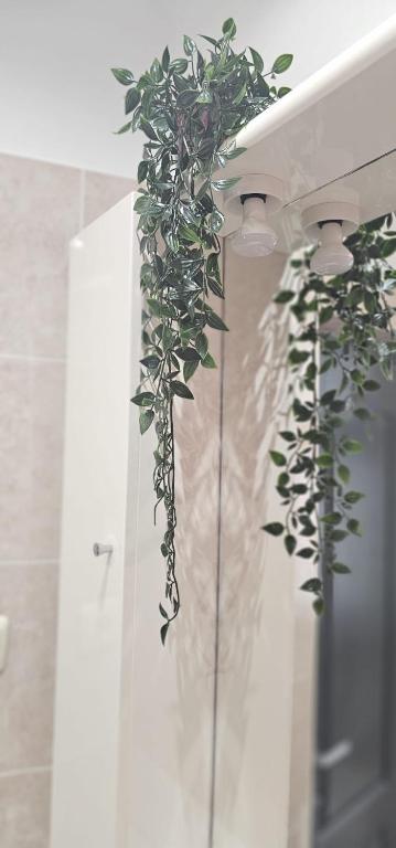 Sweet Dreams Suites Charming Studio Universitate photo 3