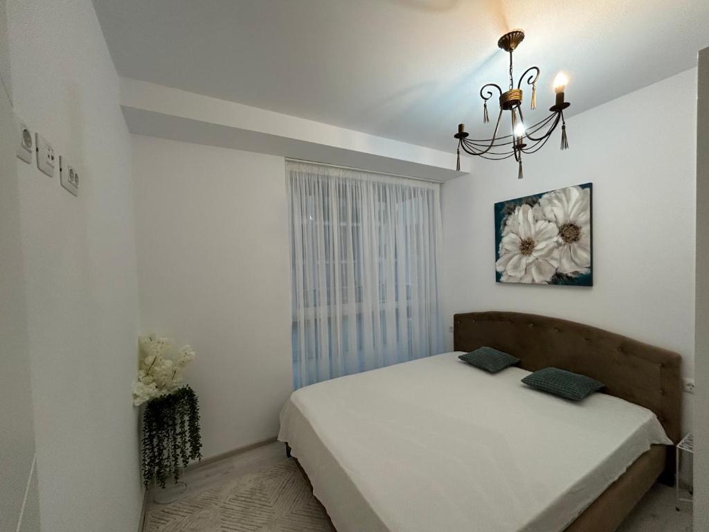 Studio Floreasca Residence photo 2
