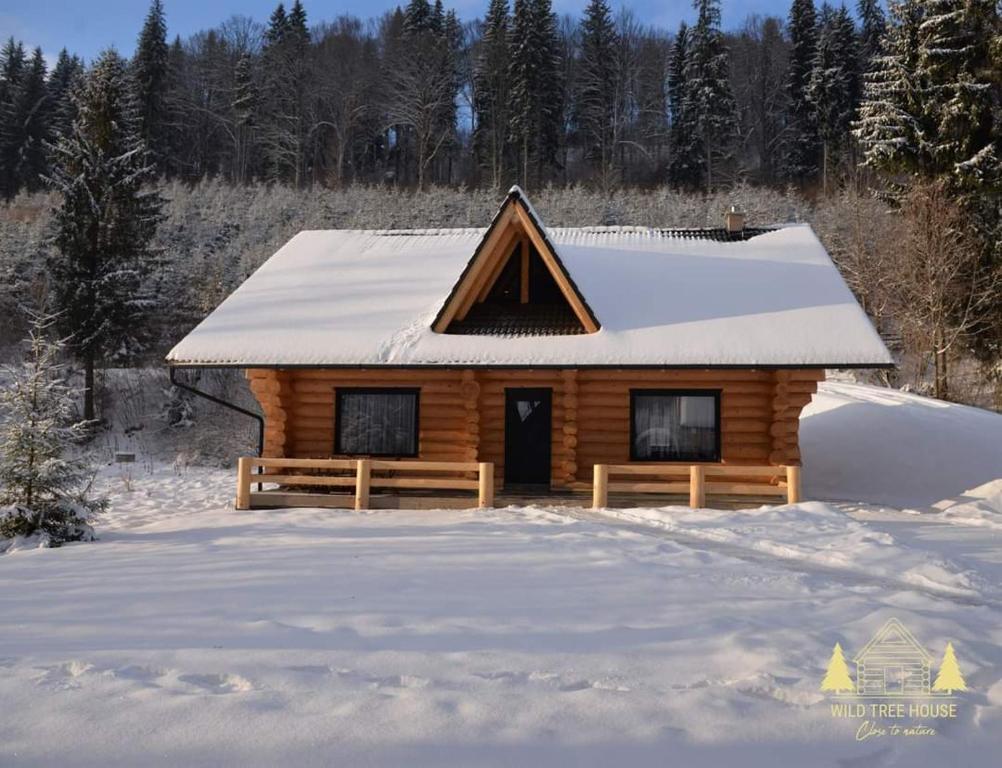 Wild tree house — photo 1