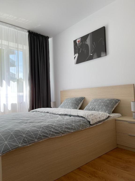 Silence Apartment 2 Oradea — photo 1