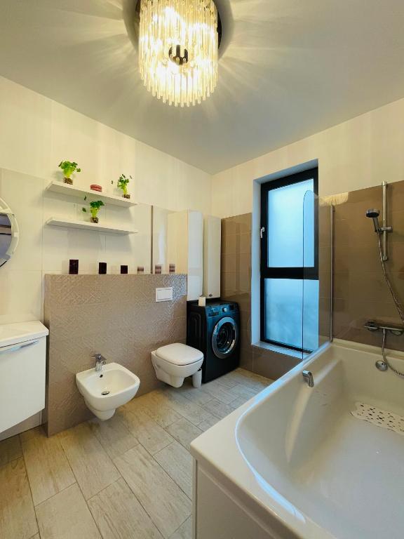 S & S Apartment 2 bedroom with Balcony & Terrace Dumbravita free Parking at location 2 spaces photo 3