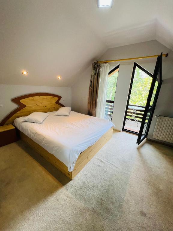 Ski Chalet Sinaia — photo 1