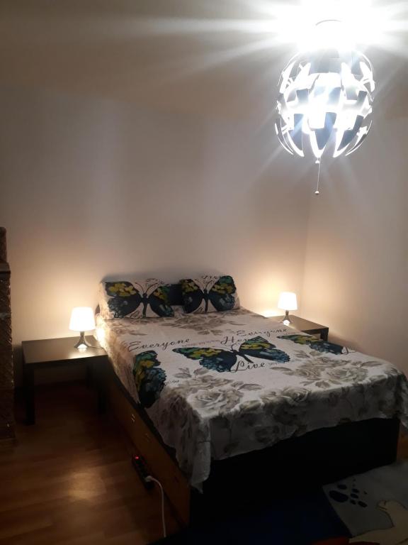 Tobyta nu primesc santieristi si petrecareti photo 2