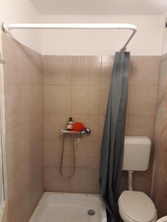 Tobyta nu primesc santieristi si petrecareti photo 3
