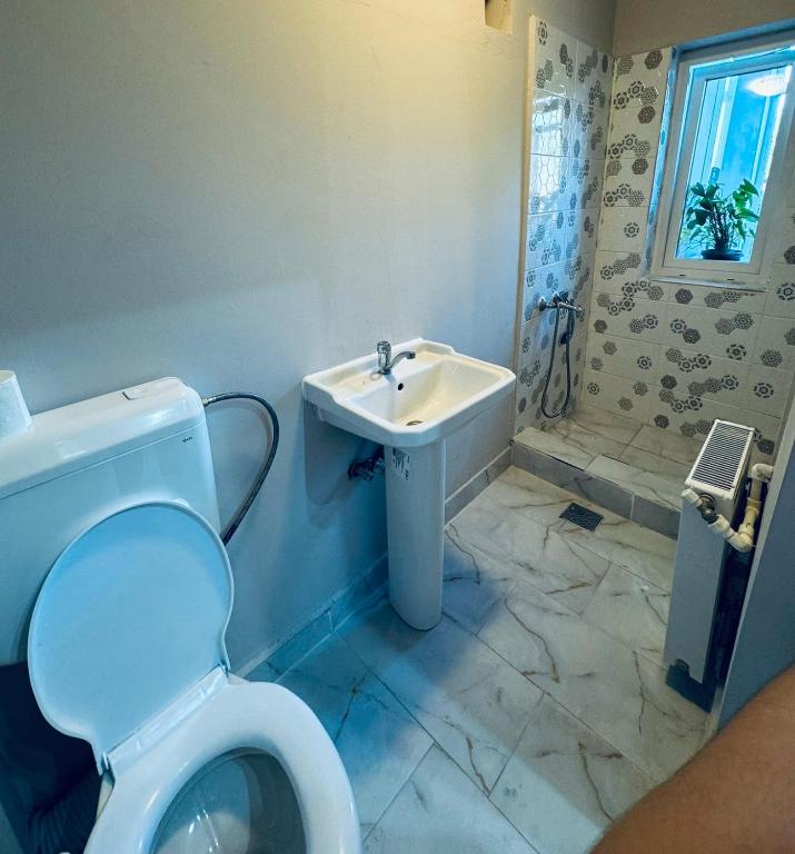 Serbian House photo 3