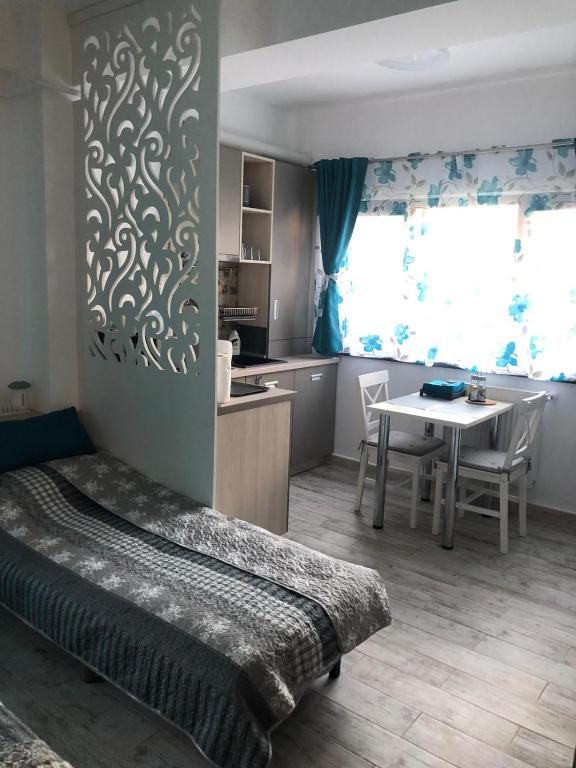 Studio Turquoise - Eforie Nord photo 2