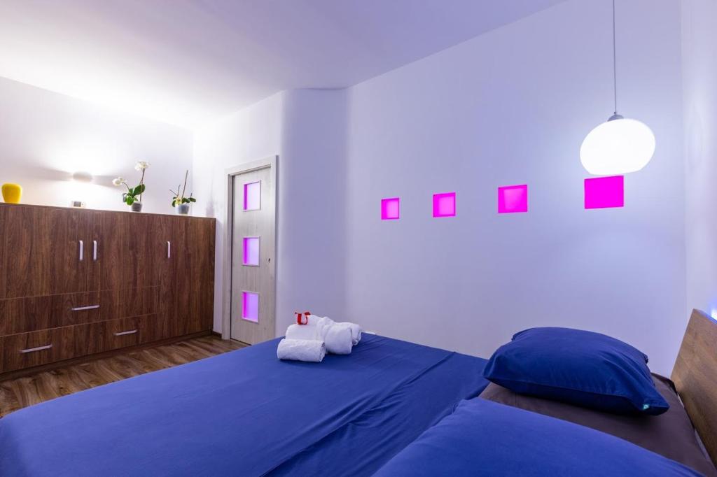 The Hidden Dream- Smarthouse photo 2