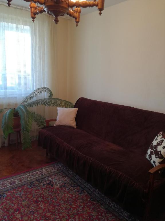 Sara Apartman — photo 1
