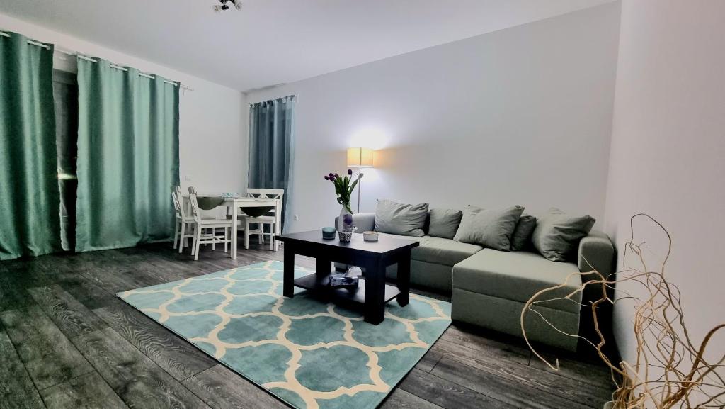 Swan Brasov Apartment — photo 1