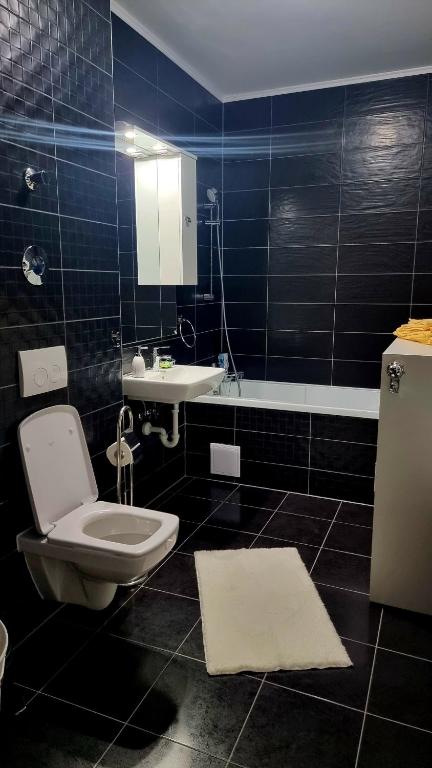 Swan Brasov Apartment photo 3