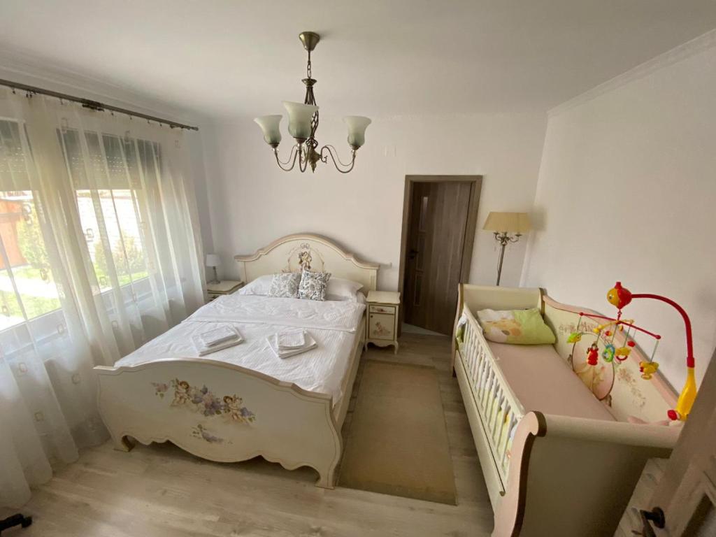 Sia & Sophie House Oradea photo 2