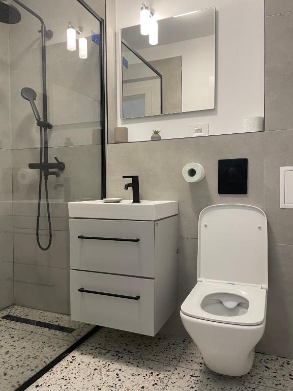 SILVER APARTMENT Sinaia photo 3