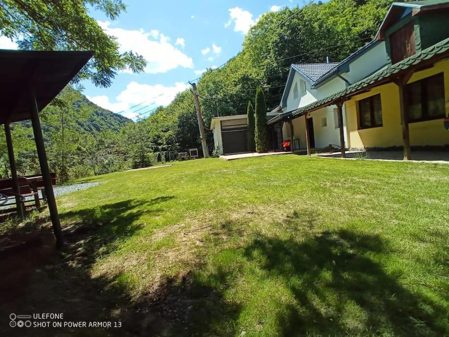 Tarnita Summer House — photo 1