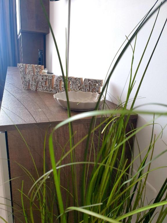 Suite&Garden CoReSi photo 3