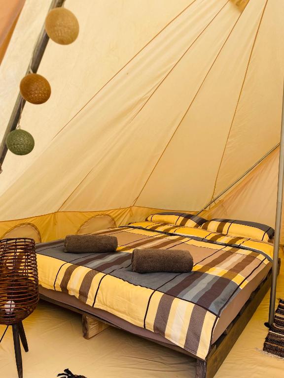 WINE ROAD GLAMPING photo 2