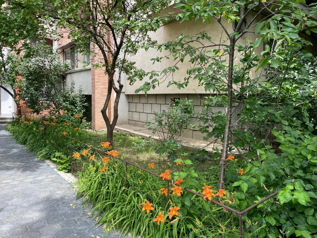 Propriete no8 - Relax, close to train station & university — photo 1