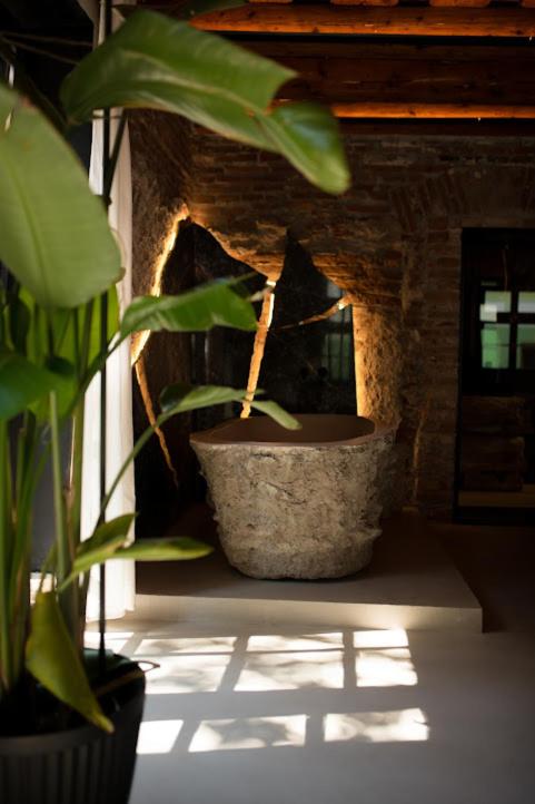 World Studio Sibiu photo 2