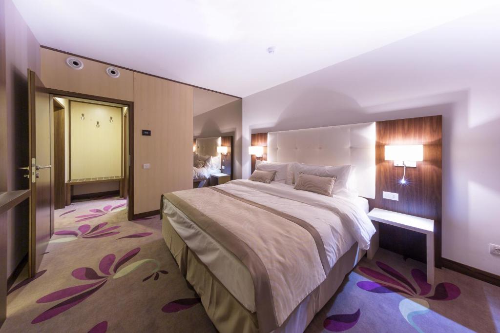 Hotel Transilvania photo 2