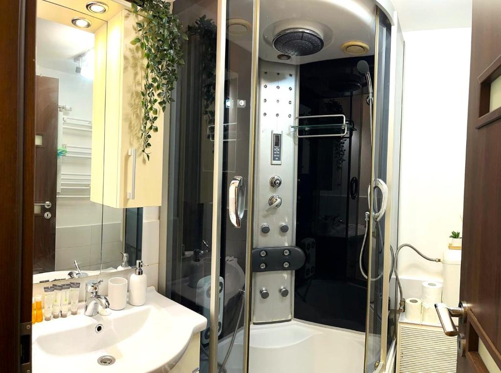 Studio Victoriei - Central Location with AC photo 3