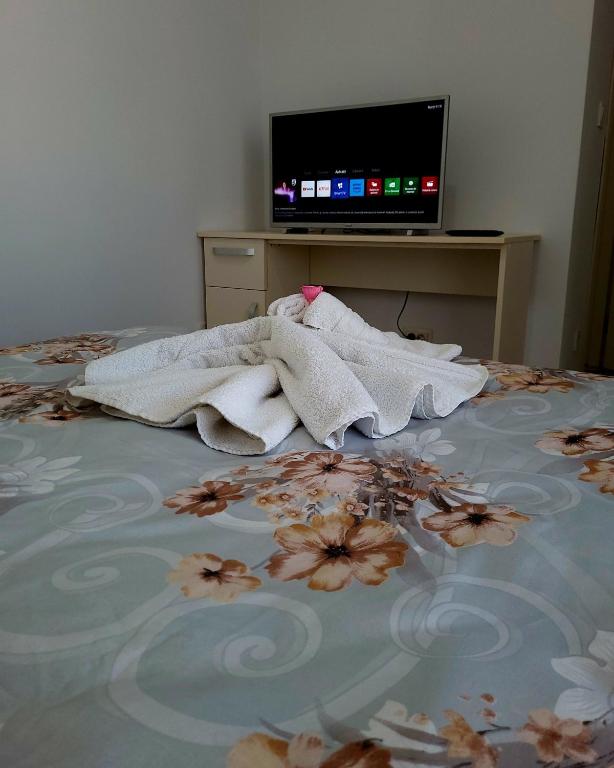 Sky Central Apartaments photo 3
