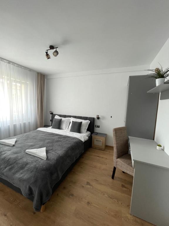 Studio Tineretului photo 2