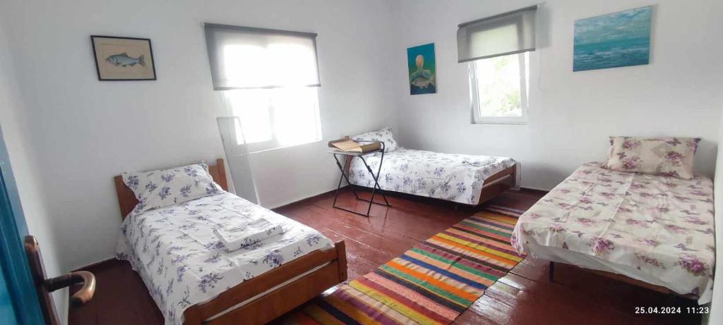 Stuffstock Hostel photo 2