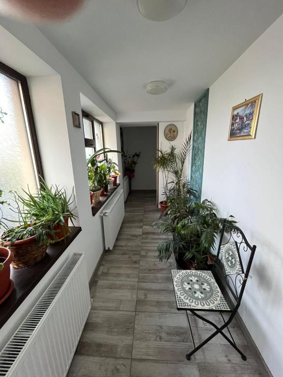 Solaria Apartment photo 3