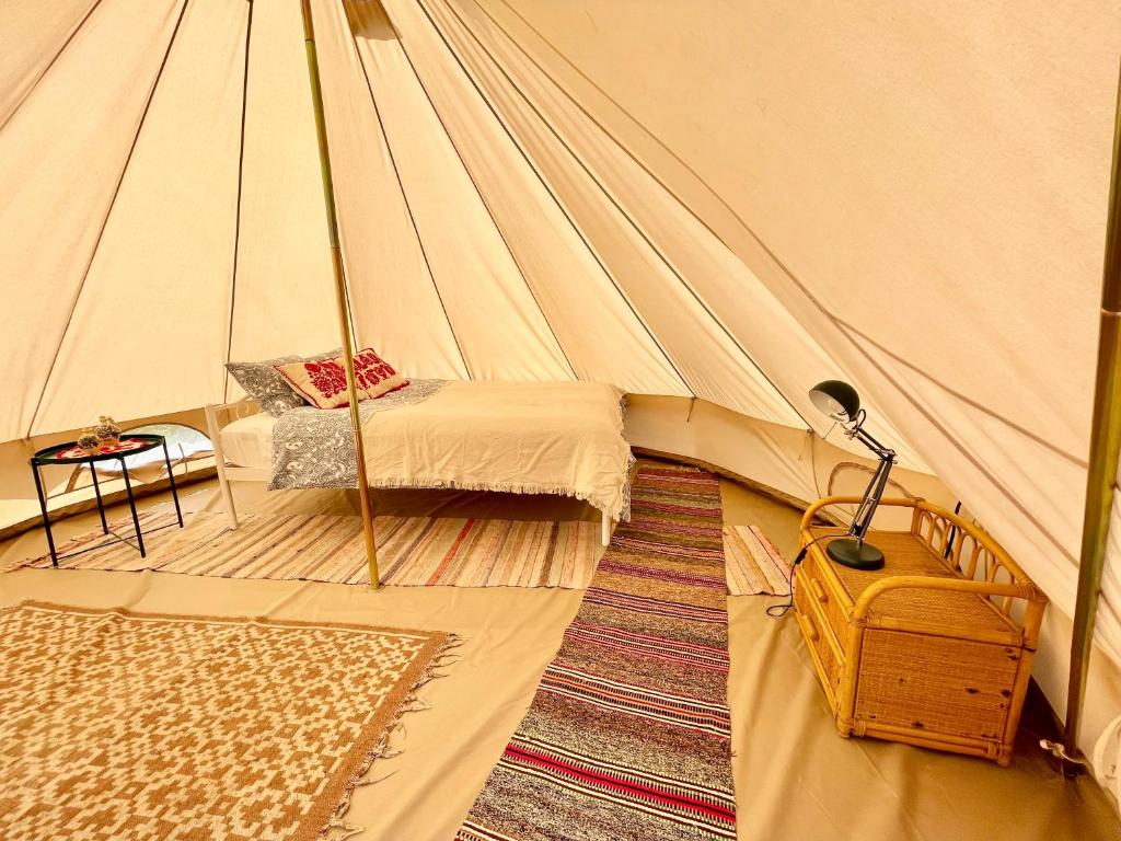 Saschiz 130/Lodging and Glamping photo 2