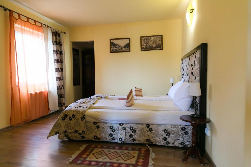 Hotel Transilvania photo 2