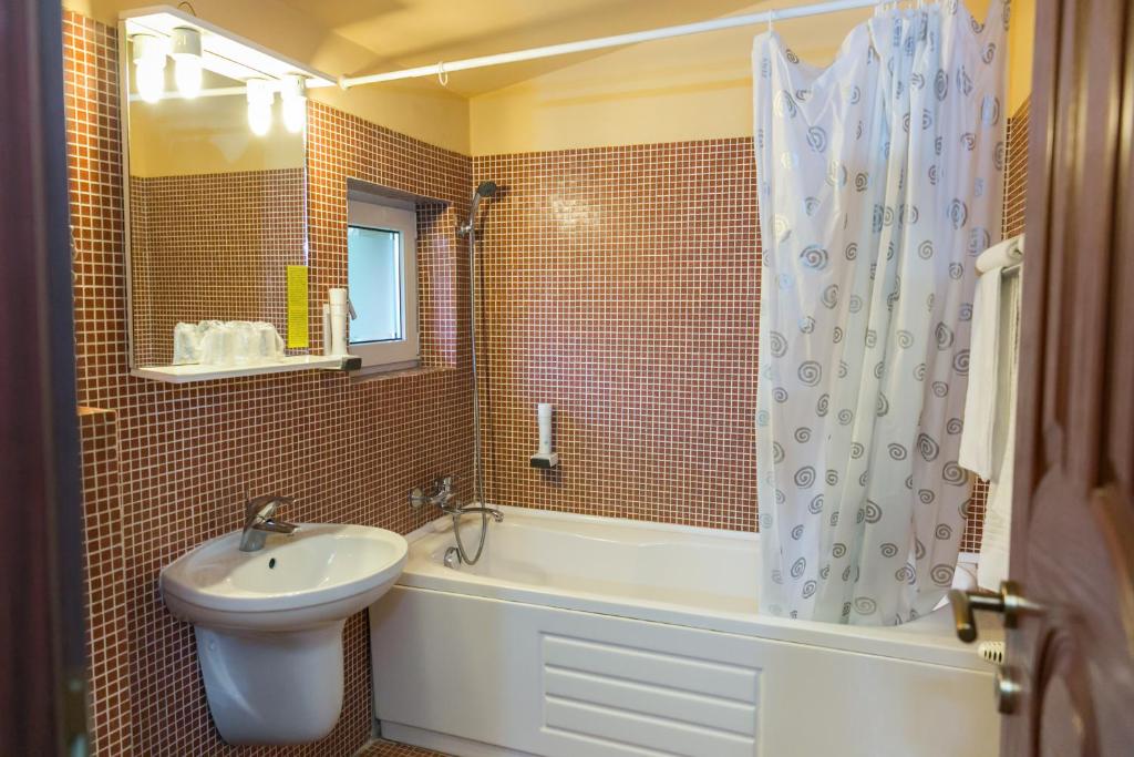 Hotel Transilvania photo 3