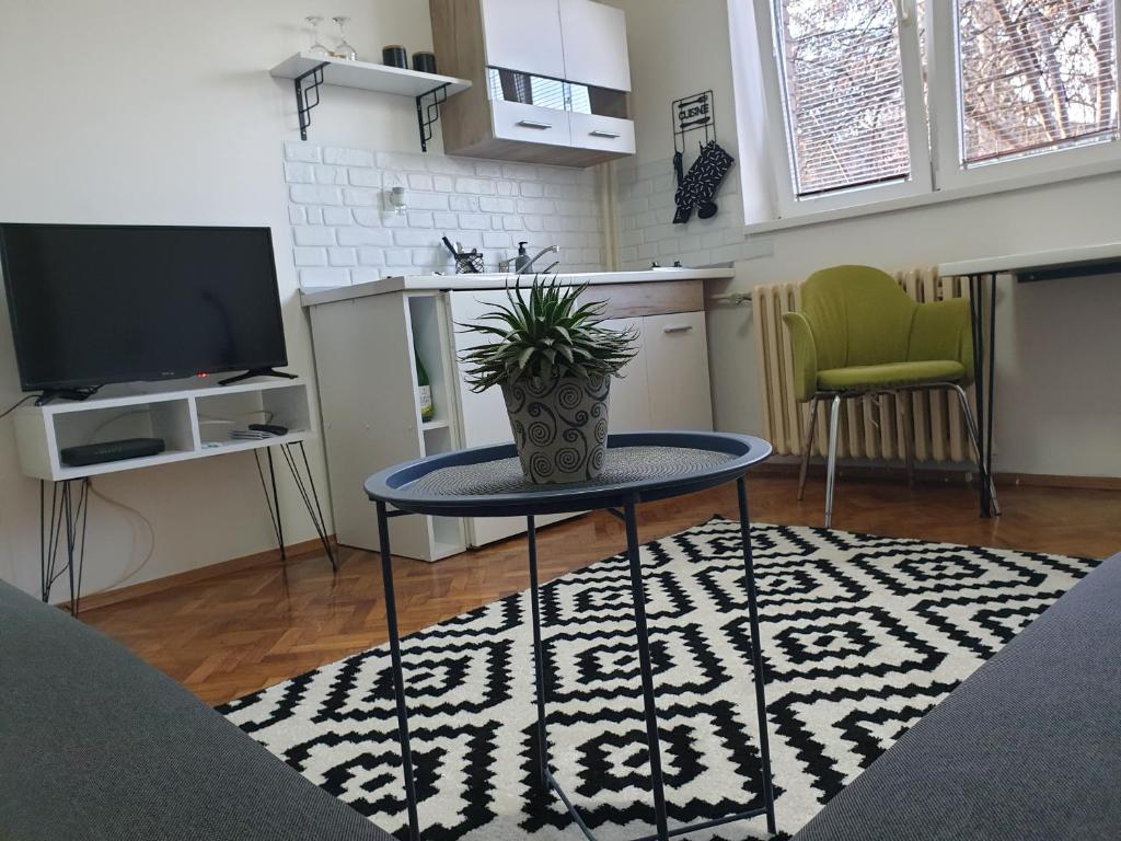 Apartman Park Jagodina-studio u centru grada FREE parking — photo 1