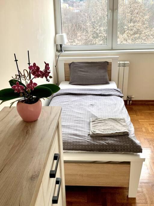 Sunkissed apartment photo 2