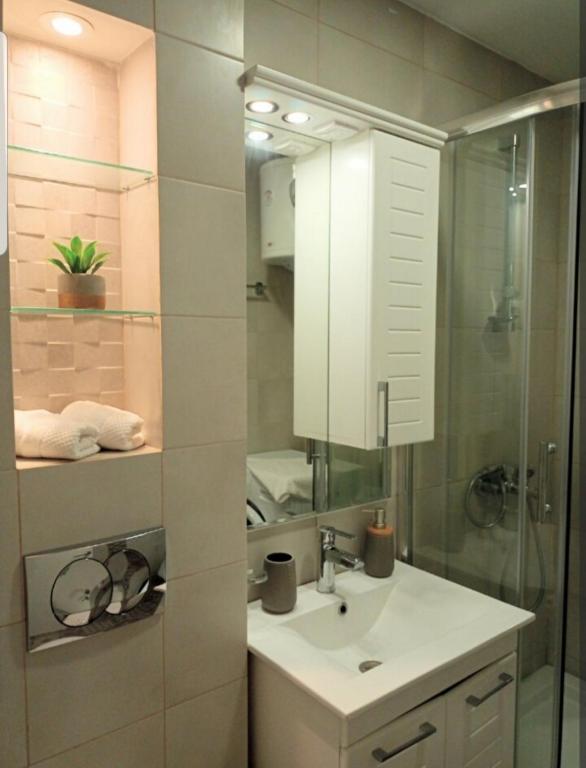 Rose City Centre Apartment photo 3