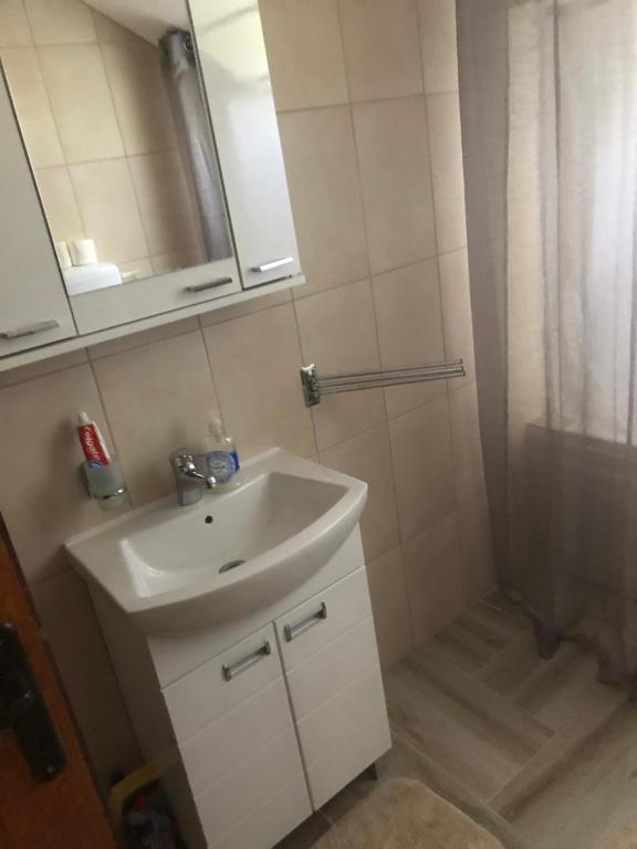 Holiday Home Rodjak sa sela photo 3