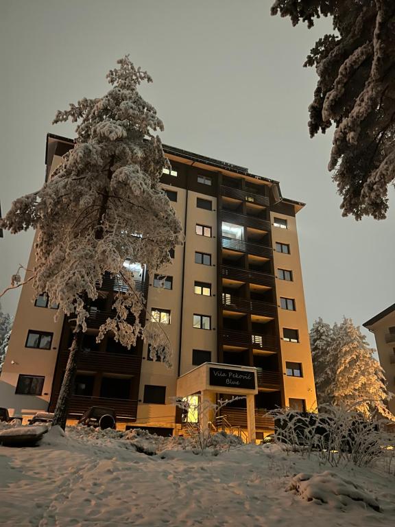 Terra Mons apartments Zlatibor photo 2
