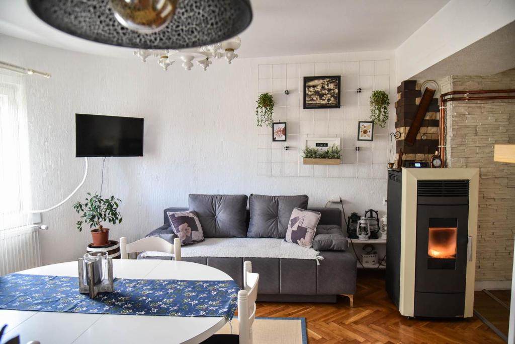 Apartman Ristovic — photo 1
