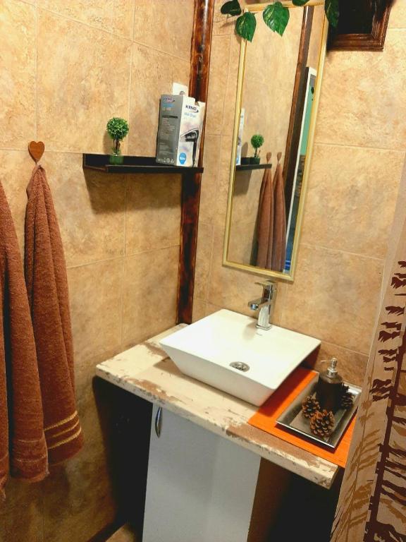 Sunny Side Fruska Gora- apartman A photo 3
