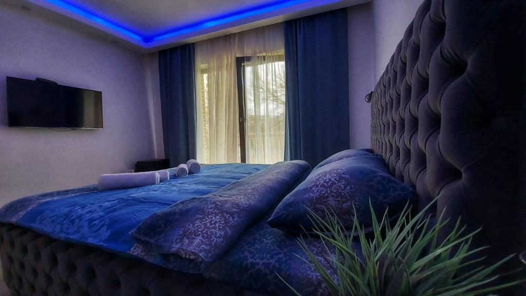 Stars lux room photo 2