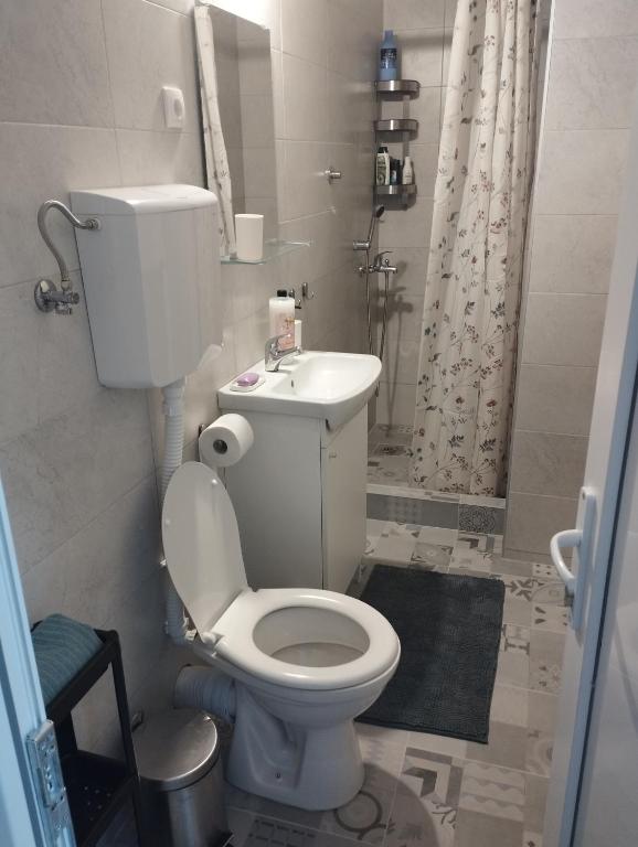 Apartman Aleksandra photo 3