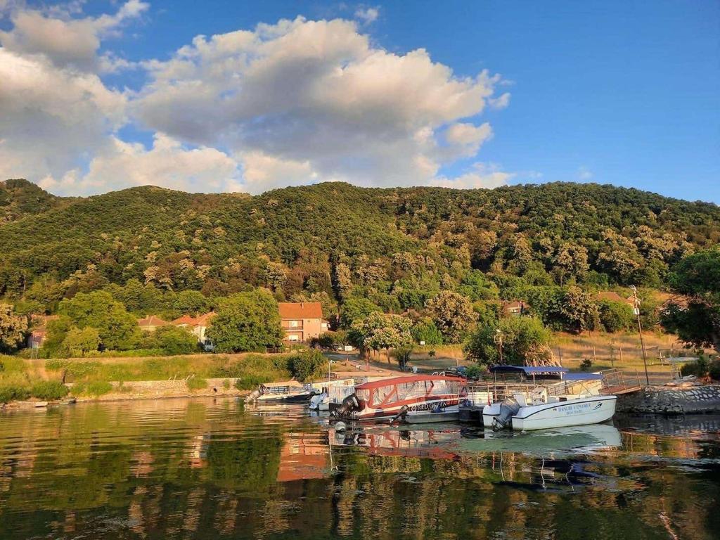 Smeštaj Zeka Tekija — photo 1