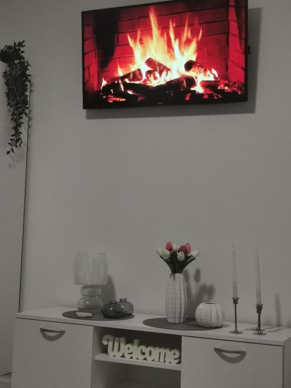 Stan na dan Pozarevac Apartman Olja — photo 1