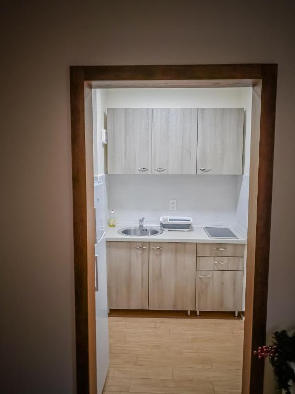 STAR apartman Brzece Kopaonik photo 3