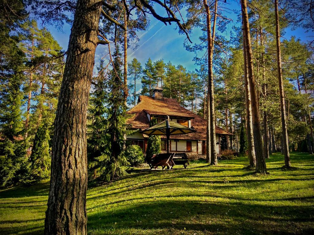 KRALJEVI KONACI - Vila Zelena Dolina - Zlatibor — photo 1